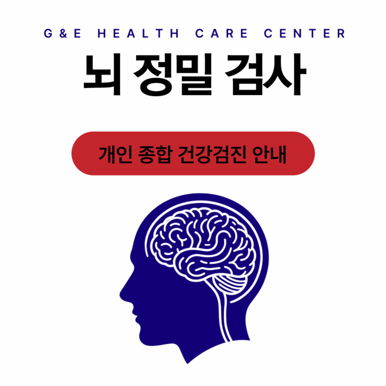 프리미엄 뇌 정밀 검사 프로그램