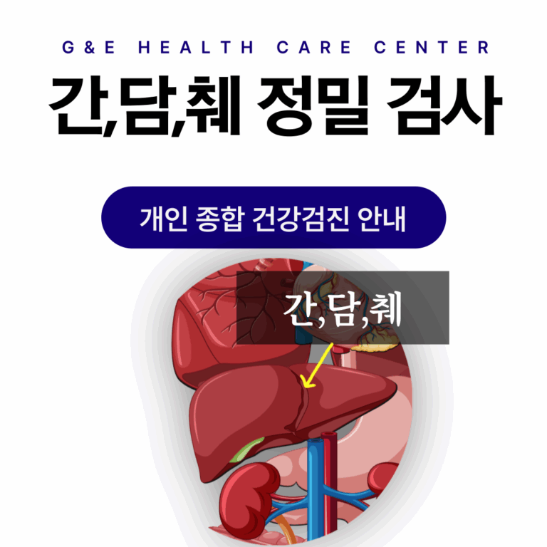 간·담낭·췌장 정밀 검사 프로그램