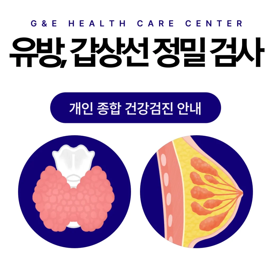 유방·갑상선 정밀 검사 프로그램 프로그램 안내