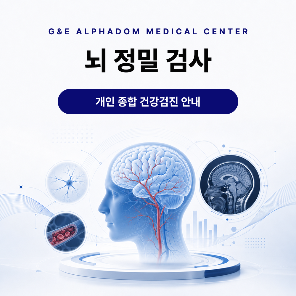 프리미엄 뇌 정밀 검사 프로그램