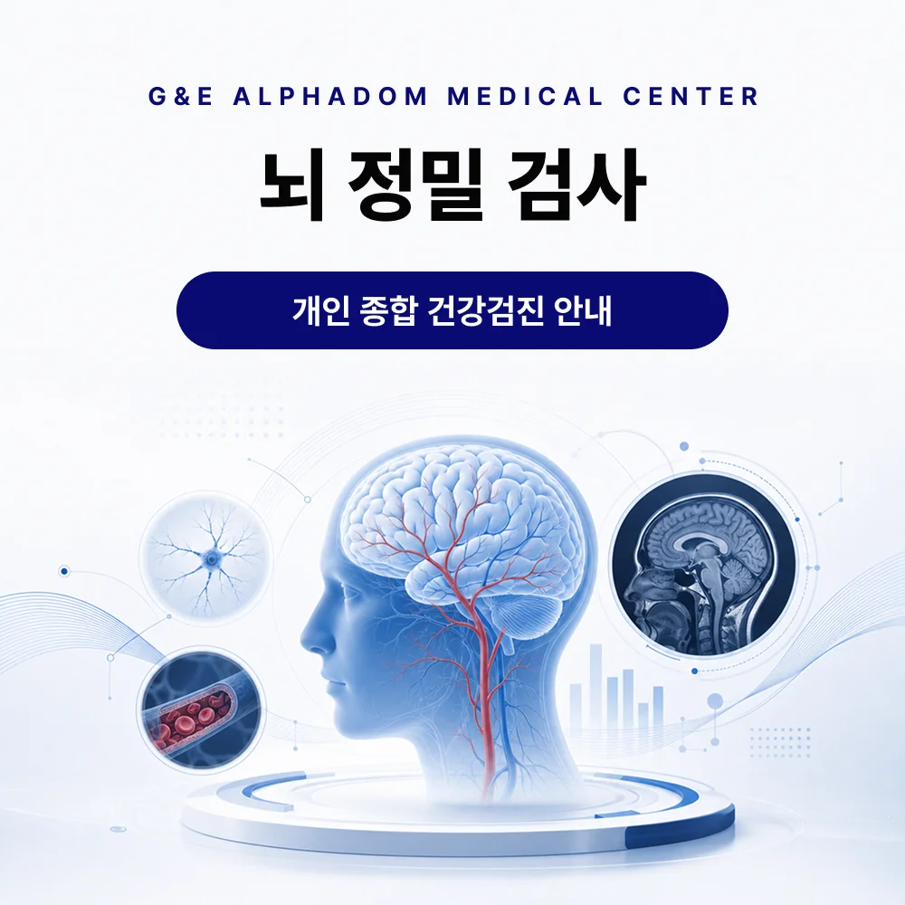 프리미엄 뇌 정밀 검사 프로그램 프로그램 안내