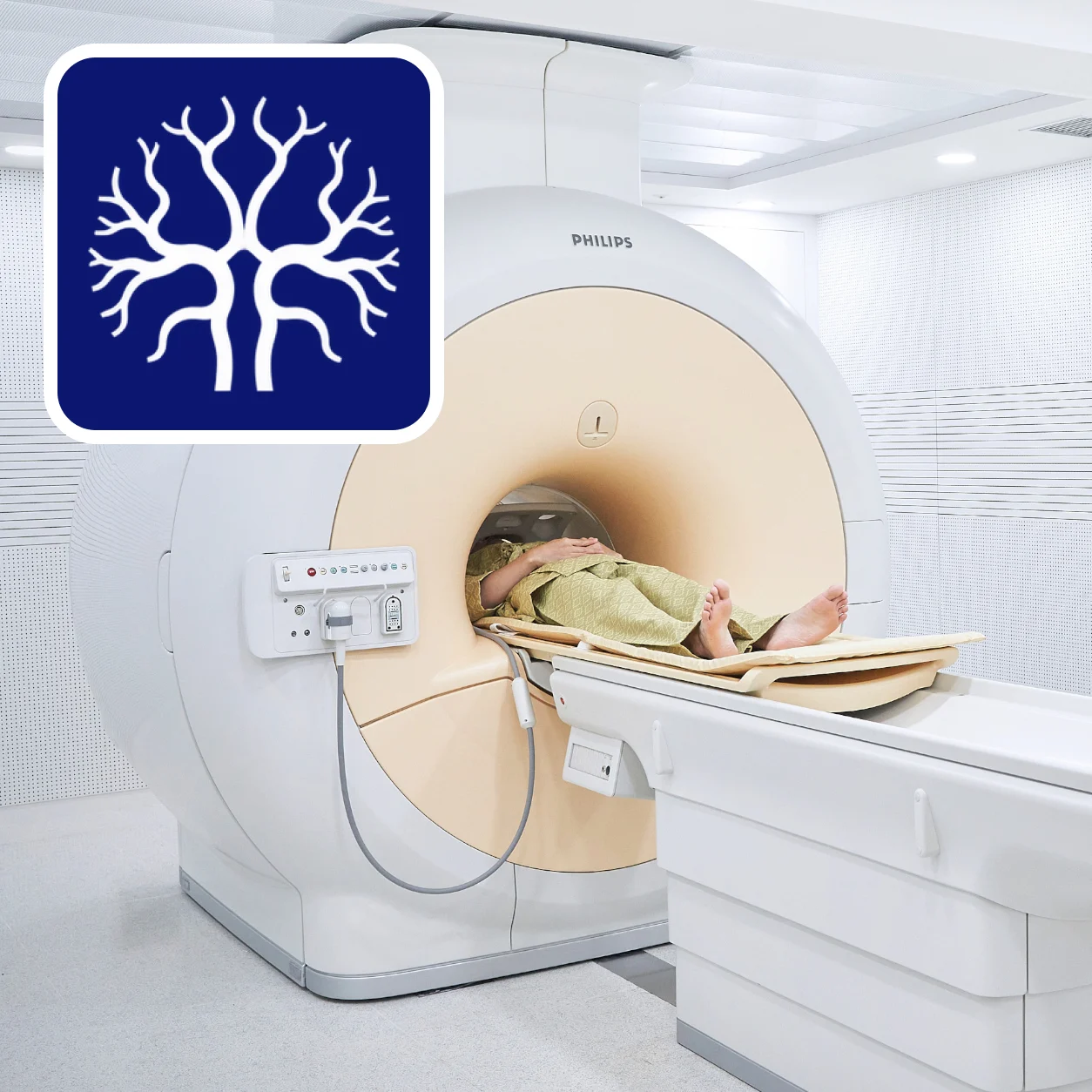 뇌MRA (Brain MRA) 검사 안내